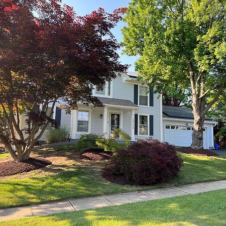 Upgraded, Beautiful 4 Bd Colonial In Silver Spring Ngoại thất bức ảnh